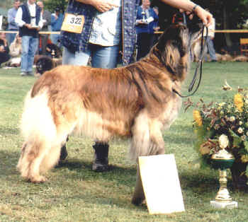 Clubsiegerin 2001 Allegra von Equitania